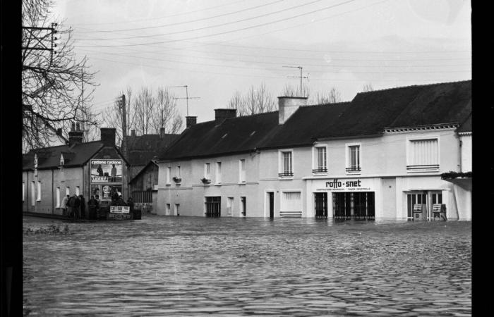 Come il Rennes ha saputo proteggersi per cinquant’anni