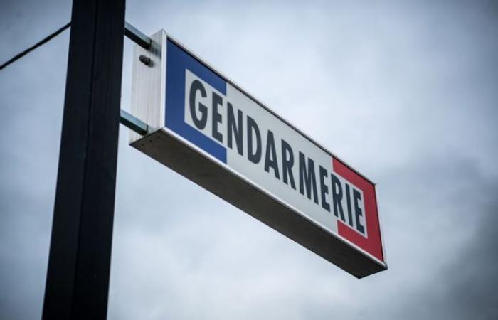 Yvelines: 21 anni dopo la strana scomparsa di una donna, la gendarmeria riapre le indagini