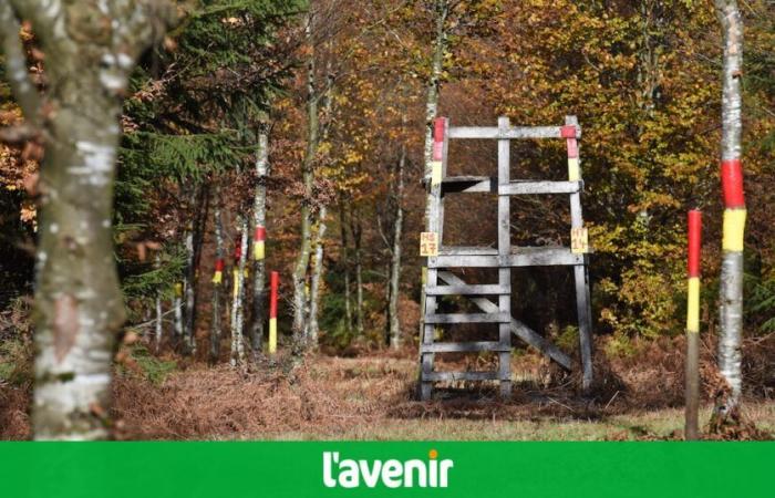 Decine di foreste vietate in Vallonia durante questo primo fine settimana di festa di Ognissanti per passeggiate, ciclismo e raccolta (mappa)