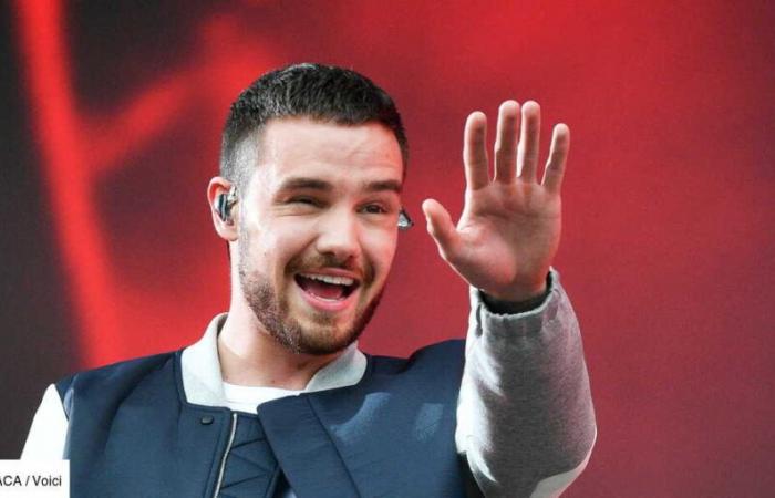 Morte di Liam Payne: a quanto ammonta la sua colossale fortuna e chi la erediterà?