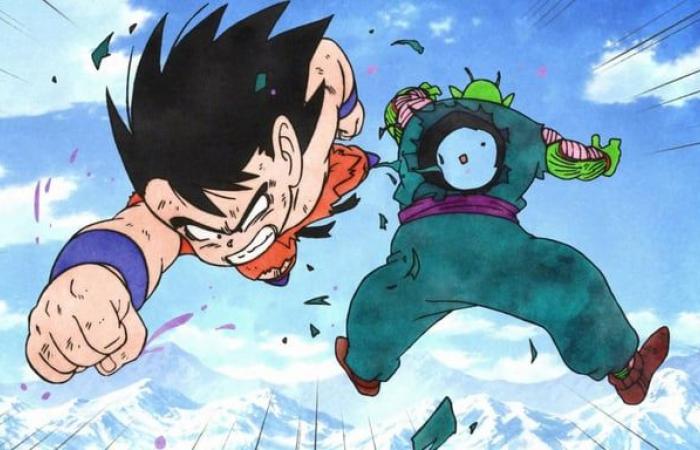 Dragon Ball Daima ha realizzato il sogno di questo fan: i fan vogliono una serie completa!