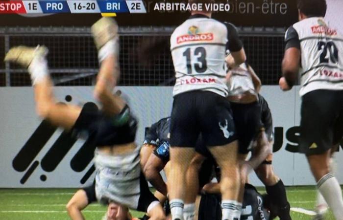 Pro D2: davvero il CA Brive ha arbitrato male contro il Provence Rugby?