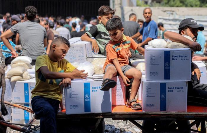 Israele studia la possibilità di utilizzare società private per distribuire aiuti a Gaza