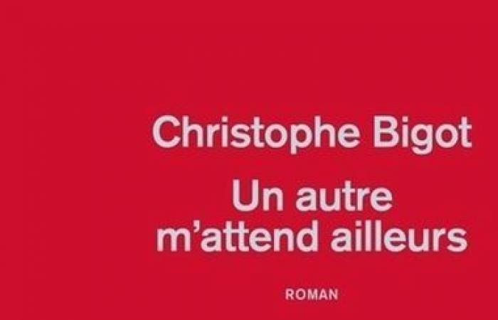 Letteratura: questi 3 libri d’amore conquisteranno il tuo cuore di lettori