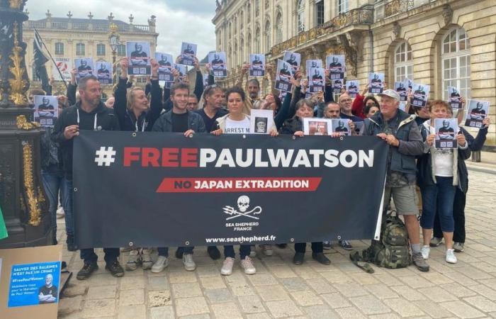 Un centinaio di persone si sono radunate in Place Stanislas a Nancy per sostenere Paul Watson