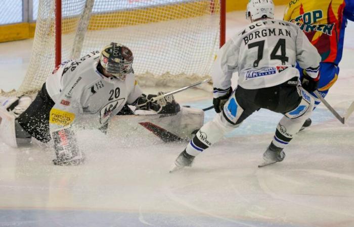 Hockey su ghiaccio: FR Gottéron non si conferma a Zugo