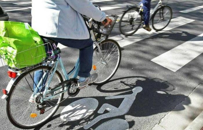 Dopo la morte di un ciclista a Parigi, sabato 19 ottobre sono stati organizzati in Vandea diversi raduni