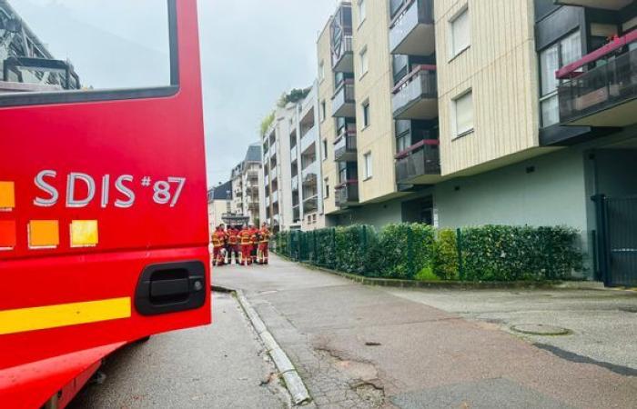 Una ventina di persone evacuate dopo “forti odori” di gas a Limoges