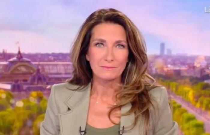 Pubblico 20:00: Anne-Claire Coudray su TF1 pubblica quasi 1,5 milioni in più di Laurent Delahousse su France 2 – La seconda parte di TPMP su C8 è il doppio di quella di Quotidien su TMC