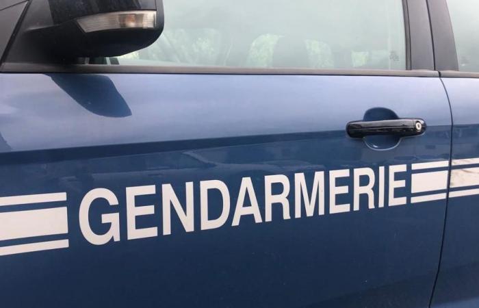 Un padre di 51 anni accoltellato a morte in mezzo alla strada a Puget-Ville