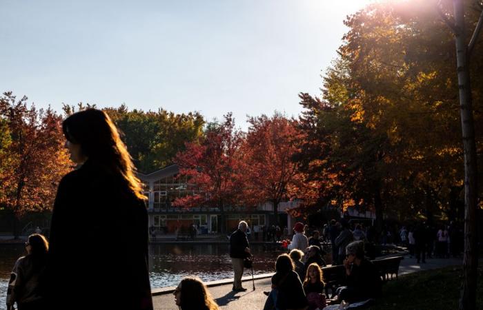 Un pomeriggio autunnale ideale al Mount Royal Park