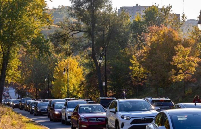 Un pomeriggio autunnale ideale al Mount Royal Park