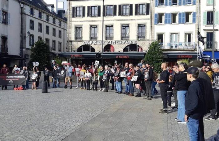 A Quimper, 90 persone chiedono la liberazione del fondatore della ONG Sea Shepherd, Paul Watson