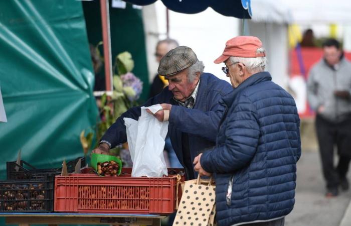 L’industria della castagna del Cantal vuole strutturarsi per crescere meglio