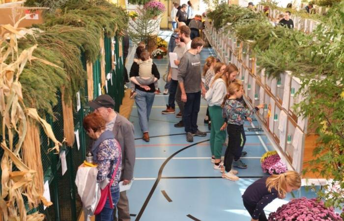 Un vero successo di pubblico per la mostra che celebra il 50° anniversario della Bergeronnette di Courgenay