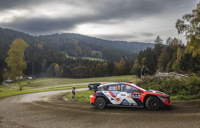 Rally dell’Europa Centrale: Thierry Neuville può ancora essere campione?