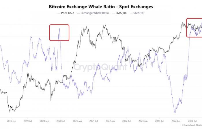 3 segnali La “fase parabolica” di Bitcoin con un obiettivo di 250.000 dollari sta per iniziare