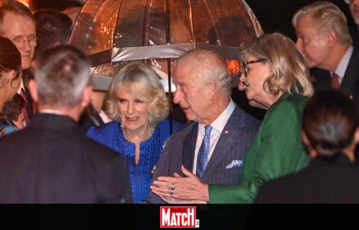 Carlo III e Camilla in Australia: la principessa Diana volutamente dimenticata durante il loro omaggio?