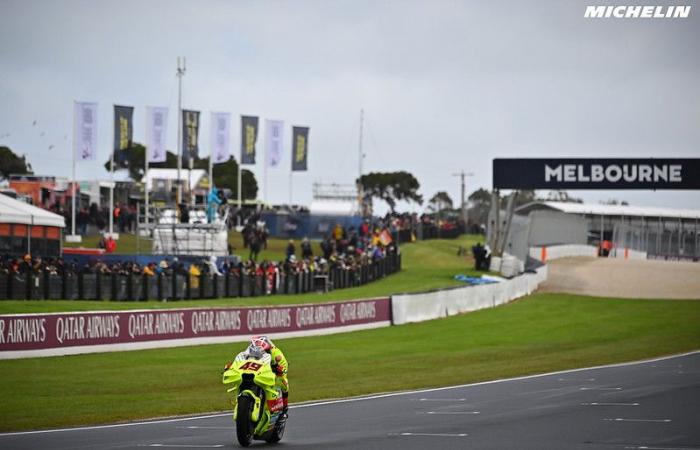 MotoGP Australia J3, Fabio Di Giannantonio (Ducati/4): “Avrei potuto lottare con Pecco Bagnaia”