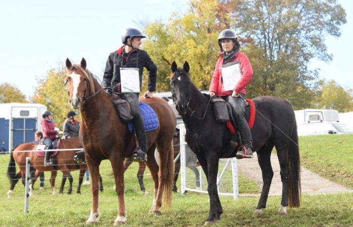 In 20 anni, il Franches Equi Trail ha conquistato il cuore dei cavalieri qui e all’estero