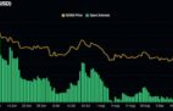 Il prezzo di Dogecoin è pronto per il rally nonostante il calo dell’attività delle balene