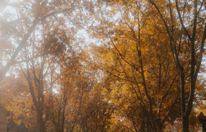 “Il richiamo del quartiere”, la mostra fotografica da vedere a novembre nel 20° arrondissement di Parigi – Mon Petit 20e