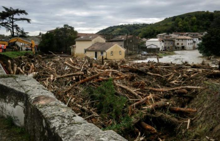 Catastrofi naturali: France Assureurs protesta contro il mancato aumento del fondo Barnier: Attualità