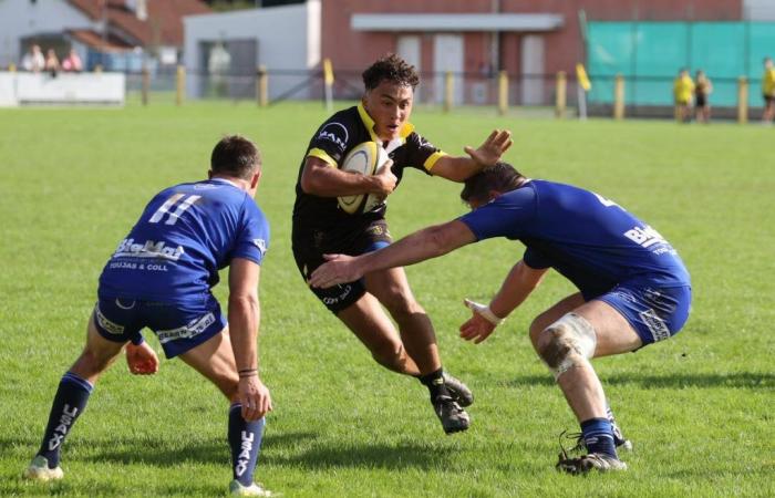 Rugby: i risultati del fine settimana di Béarn e Soule