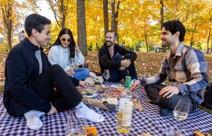 Un pomeriggio autunnale ideale al Mount Royal Park