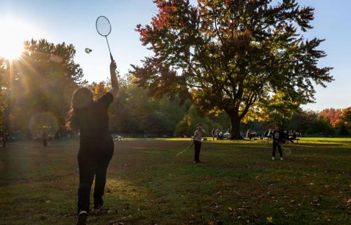 Un pomeriggio autunnale ideale al Mount Royal Park