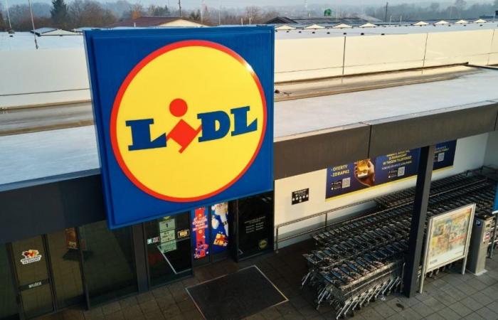 “Sono cassiera Lidl, ecco quanto guadagno al mese”