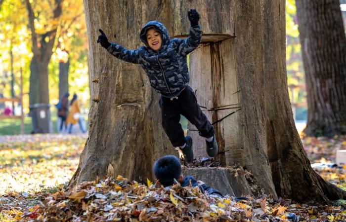 Un pomeriggio autunnale ideale al Mount Royal Park