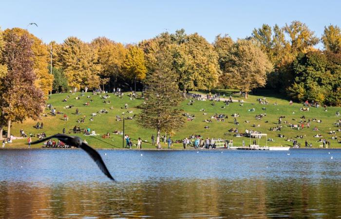 Un pomeriggio autunnale ideale al Mount Royal Park