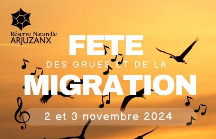 Festival delle gru e della migrazione ad Arjuzanx