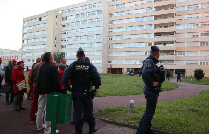 Nella Val-d’Oise, quartiere posto sotto la vigilanza della polizia municipale