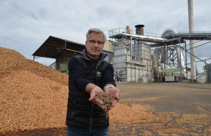 Grasasa trasforma gli scarti di legno delle segherie locali in pellet