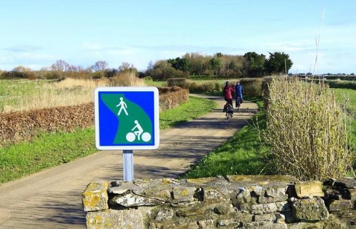 Cosa significa per te andare in bicicletta nella Manica? Esprimi la tua opinione al Dipartimento