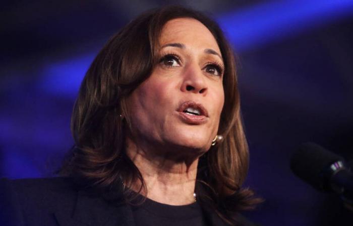 Cosa sappiamo dell’assunzione di Kamala Harris da McDonald’s, contestata da Donald Trump? – Liberazione