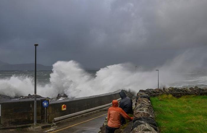 Conseguenze della tempesta Ashley: numero di voli cancellati oggi all’aeroporto di Dublino, gli equipaggi dell’ESB lavorano per ripristinare l’elettricità in oltre 16.000 case