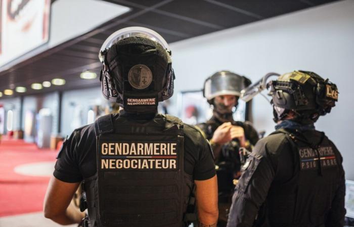 Esercizio al Capitole My Cinewest: i gendarmi del Vaucluse non fanno cinema