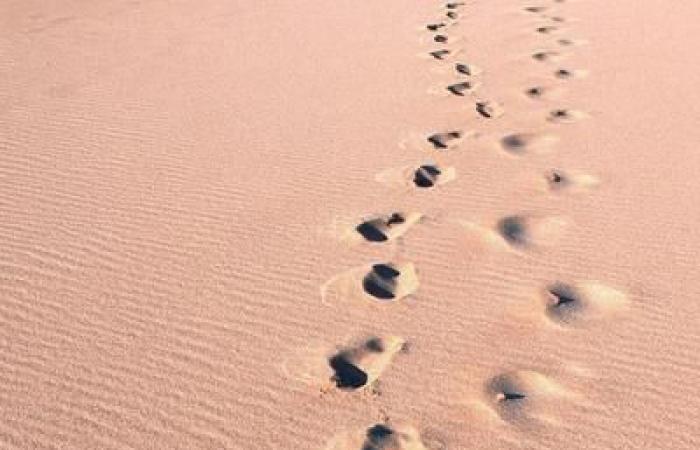 Camminare, essenziale per ridurre il mal di schiena