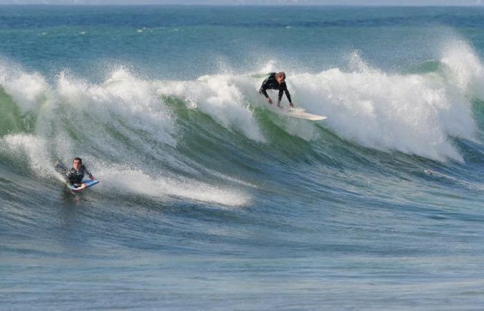 Donna italiana uccisa da pesce spada durante una sessione di surf