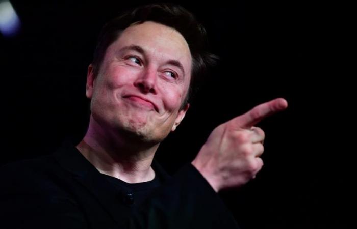 come Musk seleziona i vincitori del suo concorso per eleggere Trump