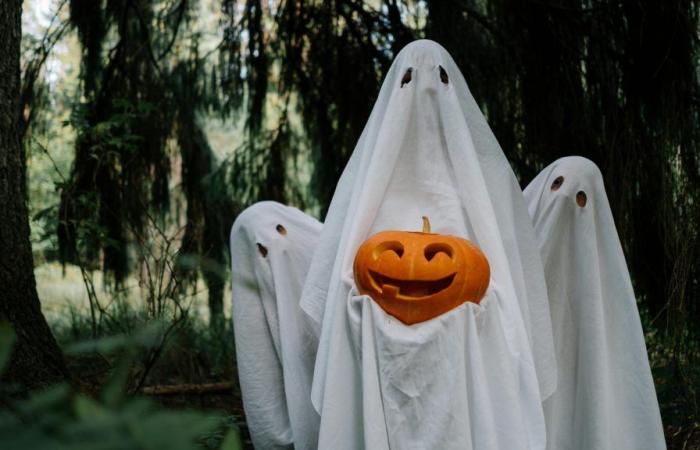 Cosa fare a Gard per Halloween?