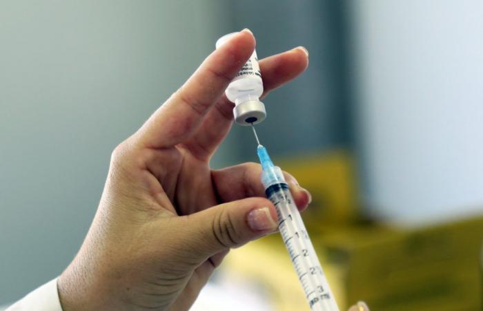 Vaccini testati urgentemente in caso di epidemia del virus mortale Marburg