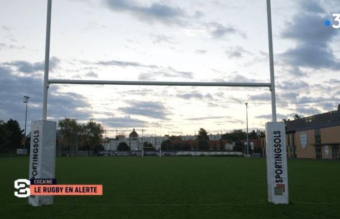 VIDEO. Di fronte alla piaga della cocaina, il rugby in allerta