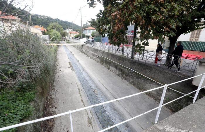 Dopo il maltempo, gli abitanti di questo quartiere di Nizza danno la colpa allo Stato: ma chi è veramente responsabile della manutenzione di questo fiume, che ha quasi straripato?