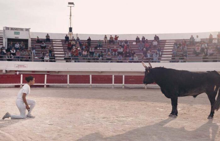 In anteprima al Sémaphore di Nîmes, “Animale”, western della Camargue, femminista e fantastico