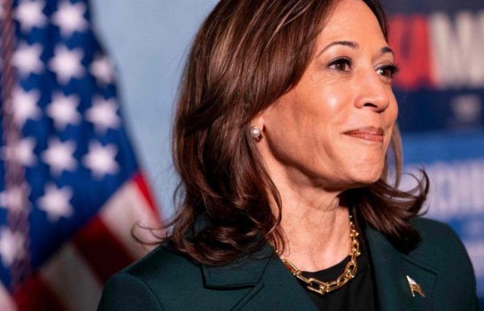 Kamala Harris invita gli americani a “non disperare”, Donald Trump ritrova un leggero vantaggio nei sondaggi… Cosa non perdetevi