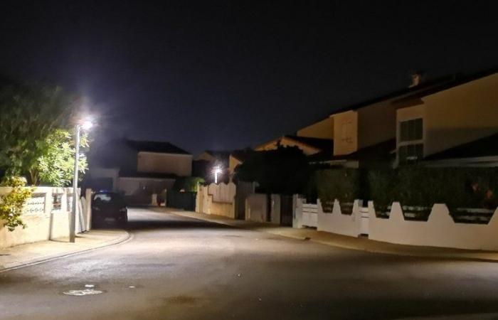 L'adolescente trovato morto nella casa di famiglia in un villaggio dei Pirenei orientali sarebbe stato “picchiato a morte” e poi lasciato solo